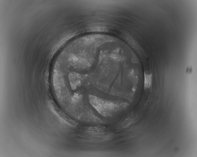 X0000111530627200908111227