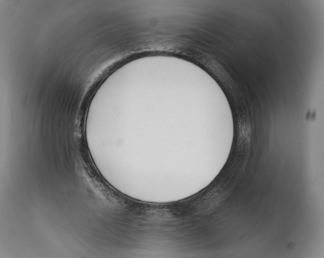 X0000111530628200908111227