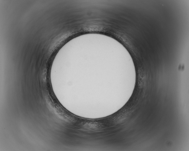 X0000111530631200908111227