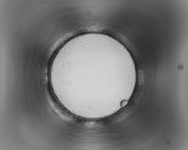 X0000111530634200908111227