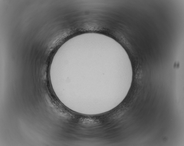 X0000111530635200908111227