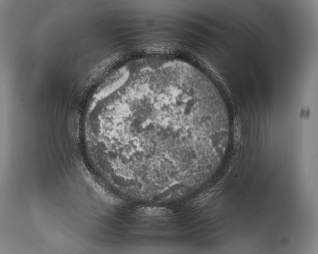 X0000111530637200908111227