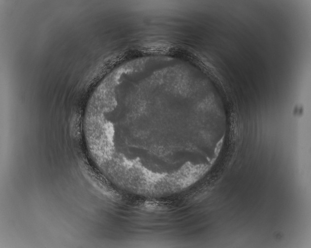 X0000111530641200908111227