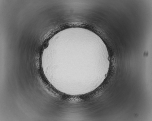 X0000111530642200908111227