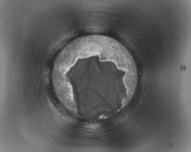 X0000111530643200908111227