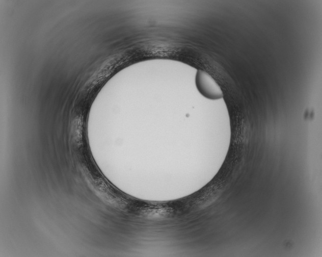 X0000111530646200908111227