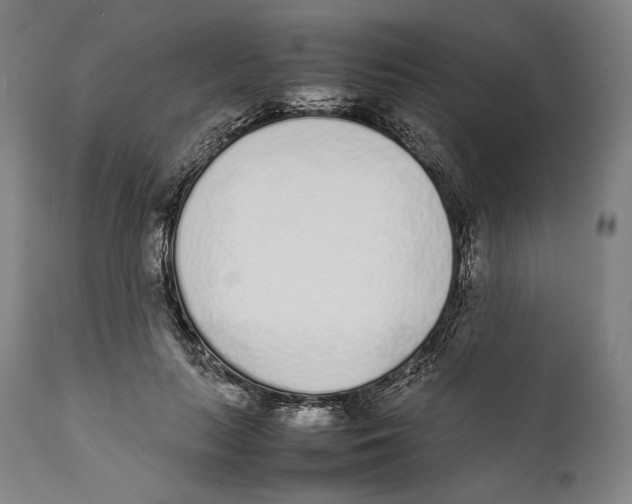 X0000111530647200908111227