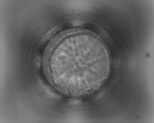 X0000111530648200908111227