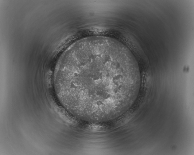 X0000111530650200908111227