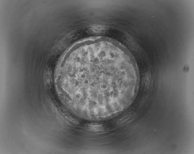 X0000111530651200908111227