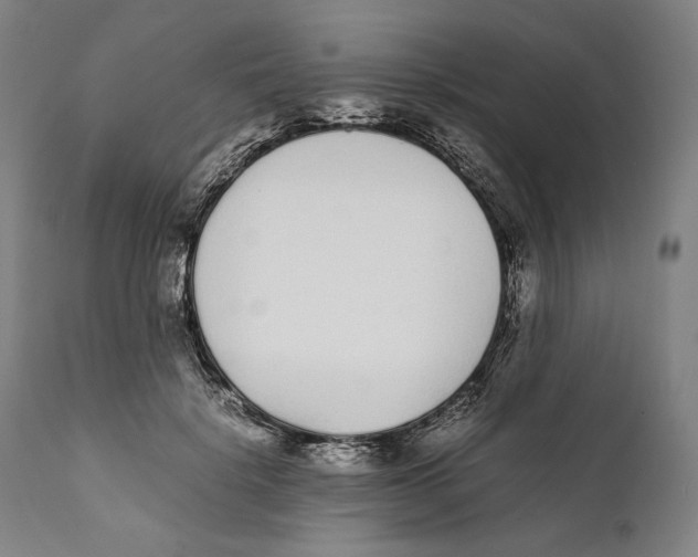 X0000111530652200908111227