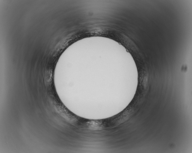 X0000111530660200908111227