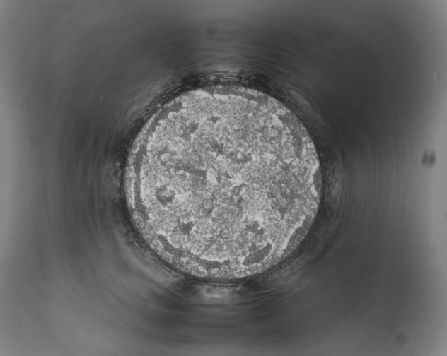 X0000111530661200908111227