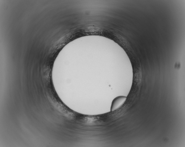 X0000111530662200908111227