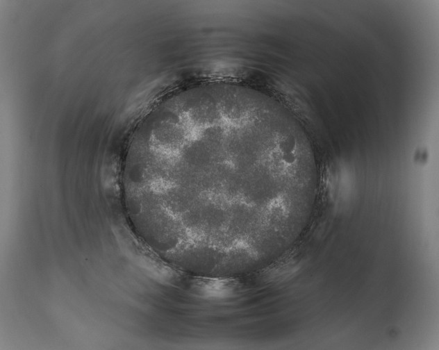 X0000111530663200908111227