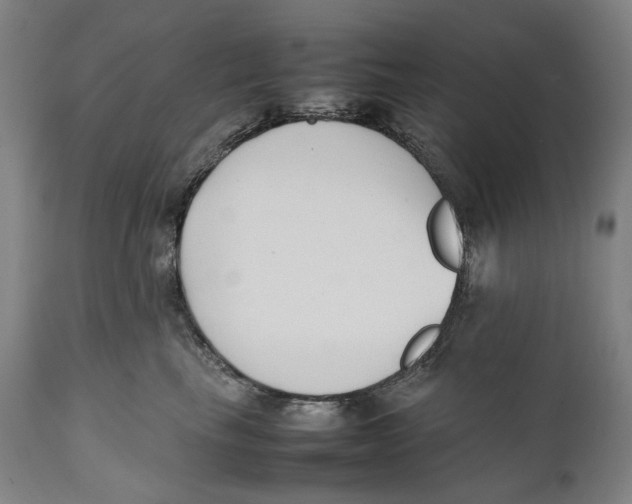 X0000111530665200908111227