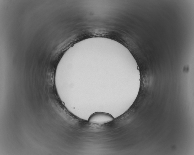 X0000111530666200908111227