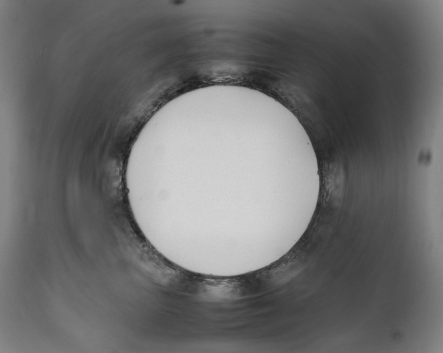 X0000111530667200908111227