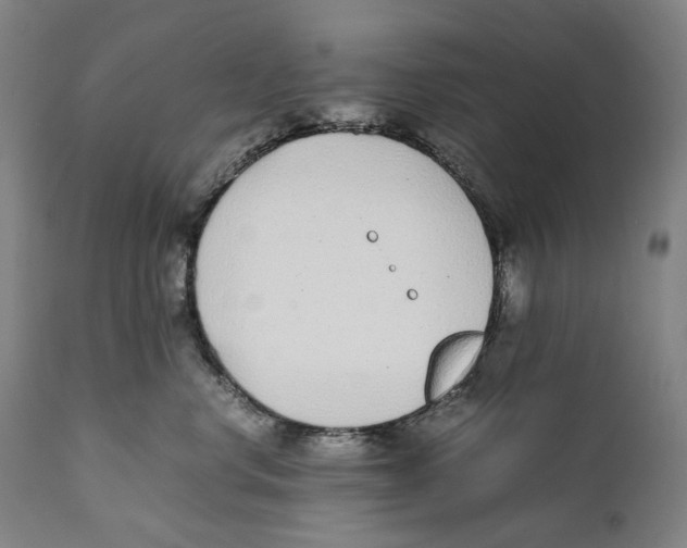 X0000111530668200908111227