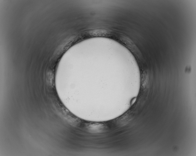 X0000111530669200908111227