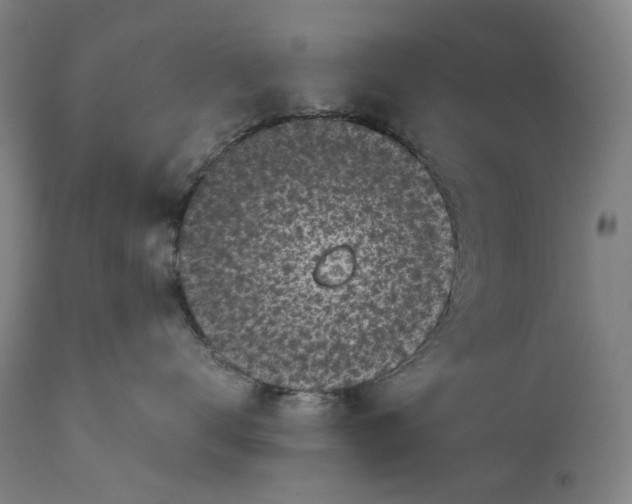 X0000111530672200908111227