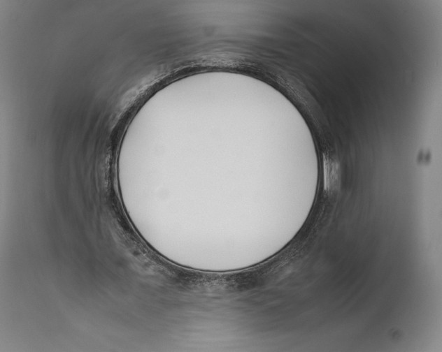 X0000111530675200908111227