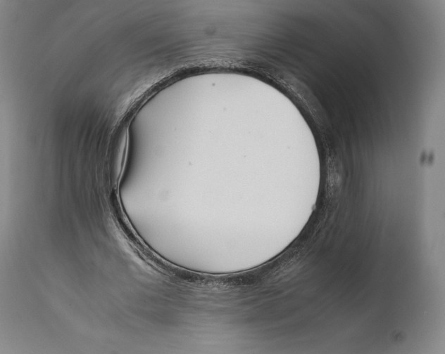 X0000111530677200908111227