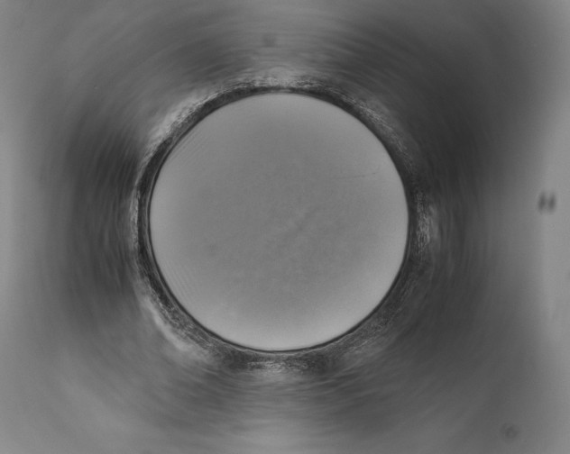 X0000111530678200908111227