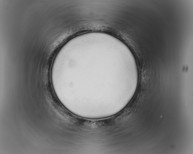 X0000111530679200908111227