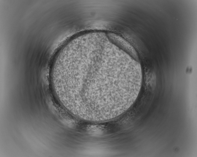 X0000111530680200908111227