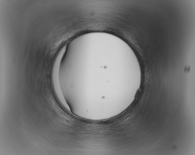 X0000111530681200908111227