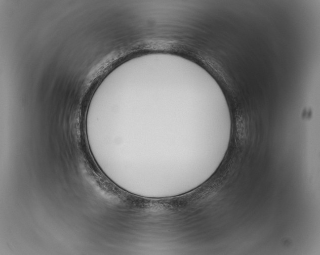 X0000111530682200908111226