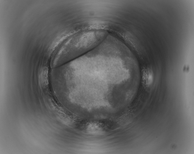 X0000111530684200908111226