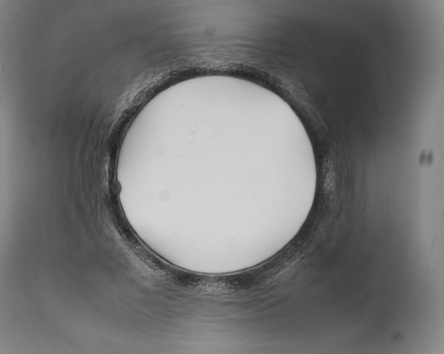 X0000111530685200908111226