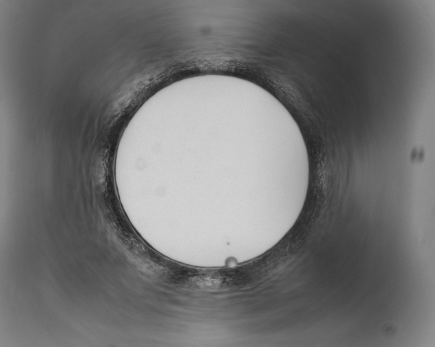 X0000111530687200908111226