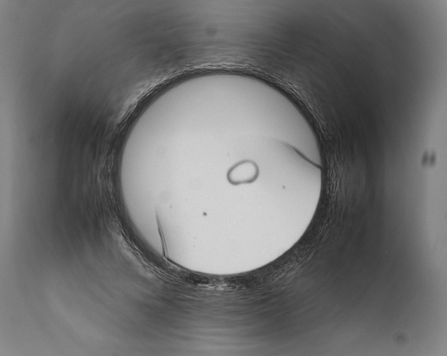 X0000111530688200908111226