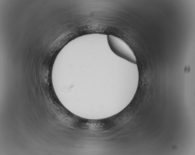 X0000111530693200908111226