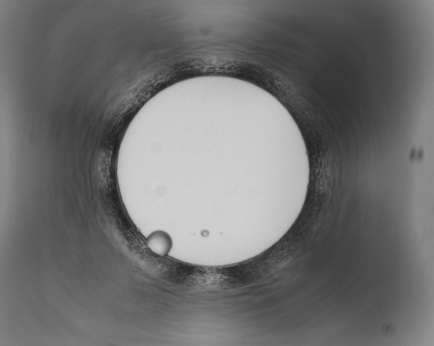 X0000111530695200908111226