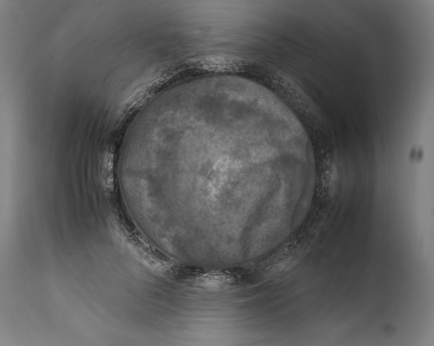 X0000111530696200908111226