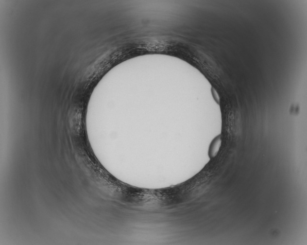 X0000111530697200908111226