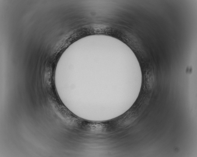 X0000111530698200908111226