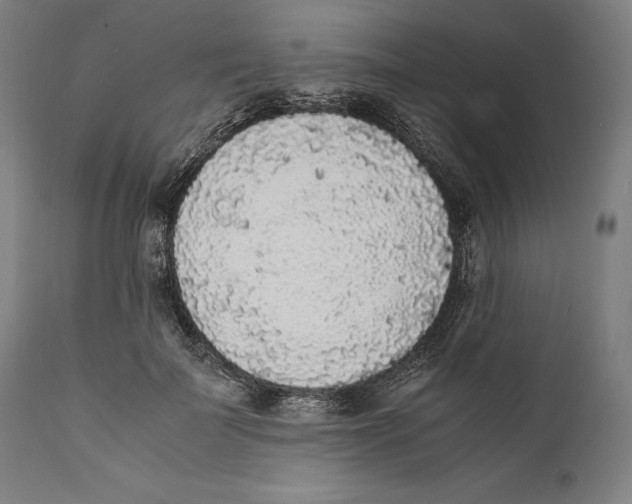 X0000111530699200908111226