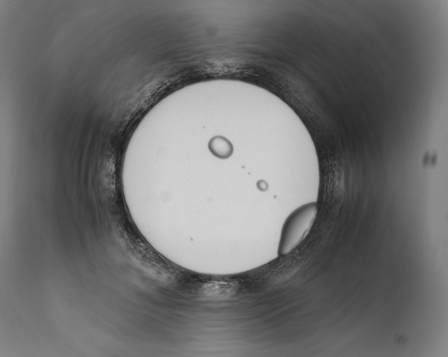 X0000111530700200908111226