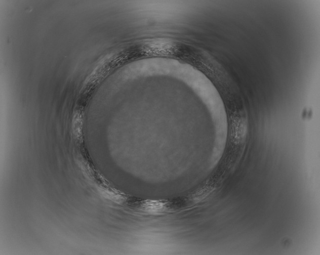 X0000111530701200908111226