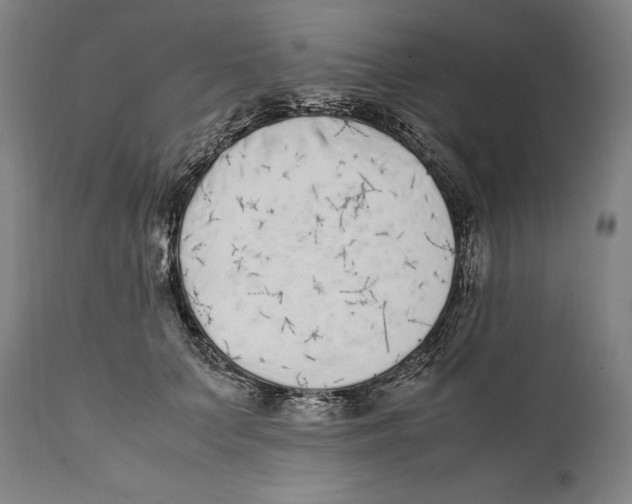 X0000111530703200908111226