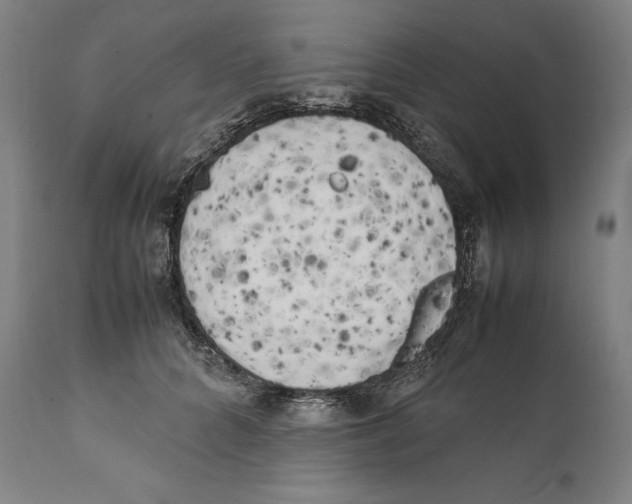 X0000111530704200908111226