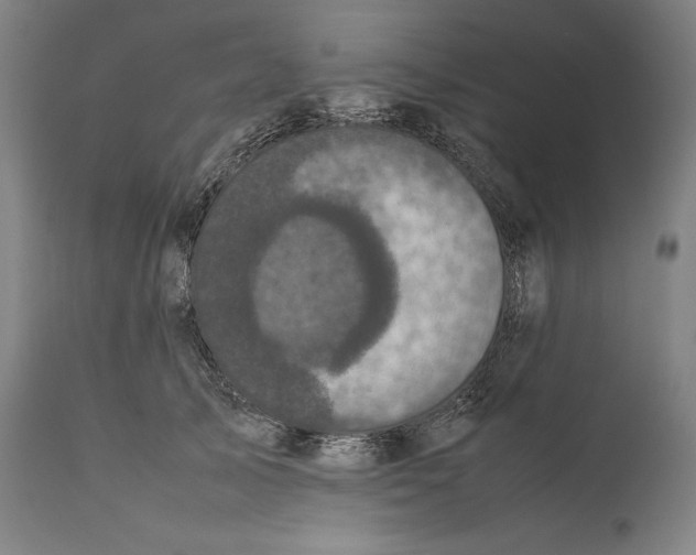 X0000111530705200908111226