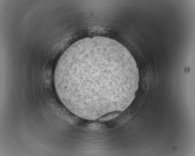 X0000111530708200908111226