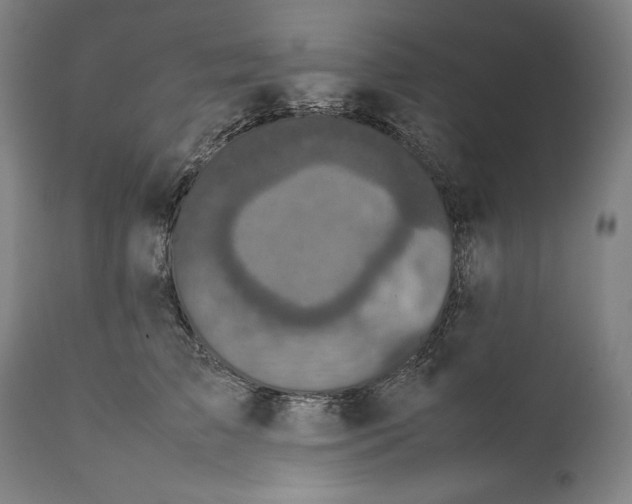 X0000111530709200908111226