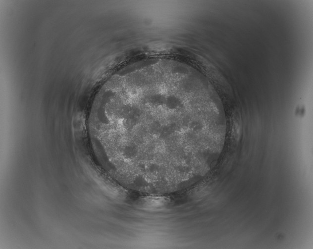 X0000111530711200908111226